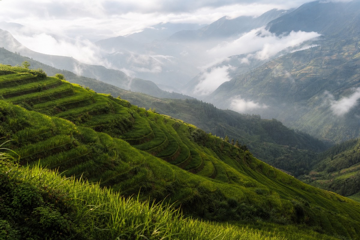 Green terraced rice fields on steep hillsides near Sapa, contrasted with the karst mountain scenery of the Ha Giang Loop in northern Vietnam
