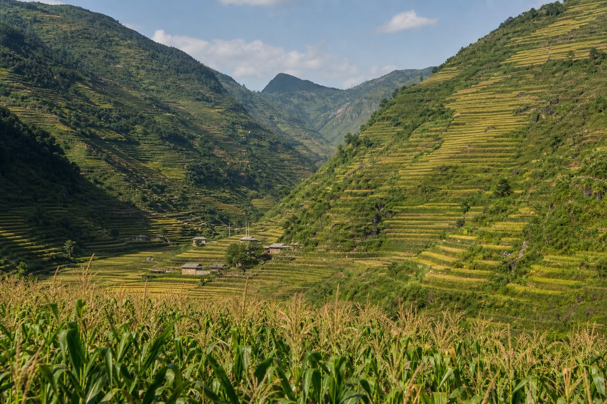 A roadside market stop along the loop